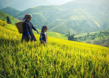 Nord Vietnam : Montagnes, rizières et minorités ethniques