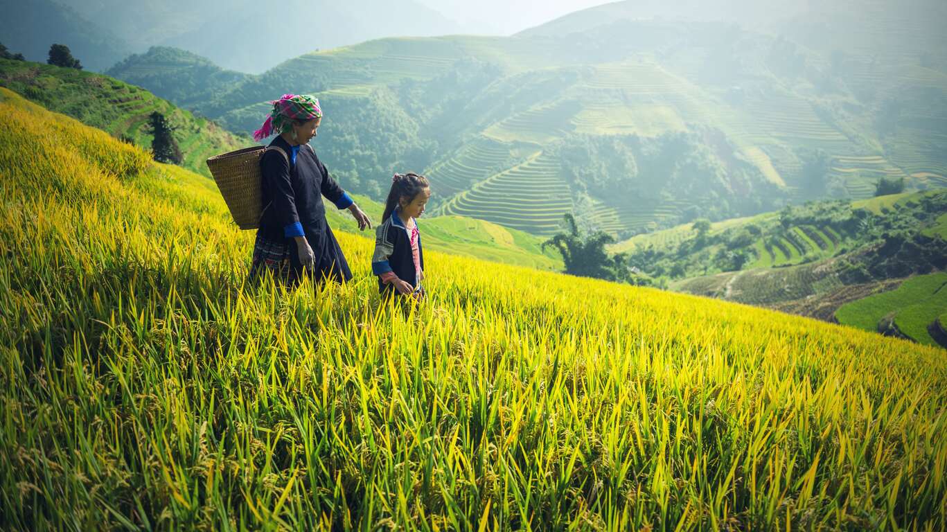 Nord Vietnam : Montagnes, rizières et minorités ethniques