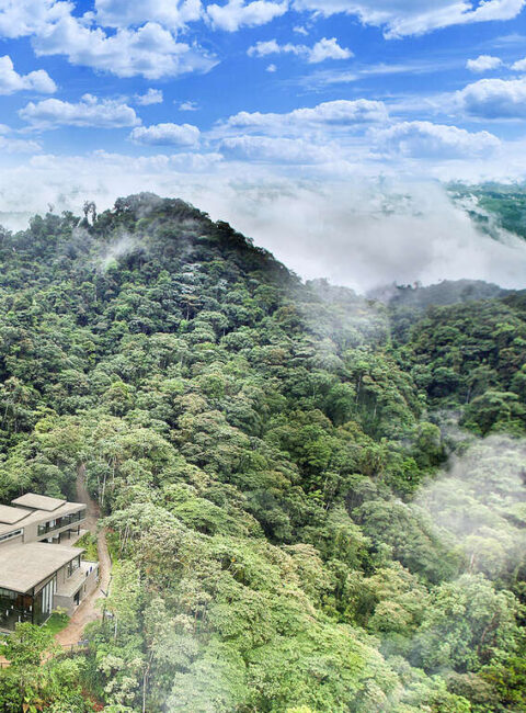 L'Equateur signature : Galapagos et Mashpi Lodge