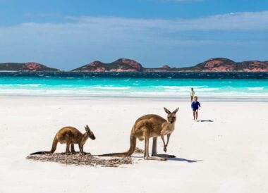 Soleil d’hiver : la Great Ocean Road et Kangaroo Island