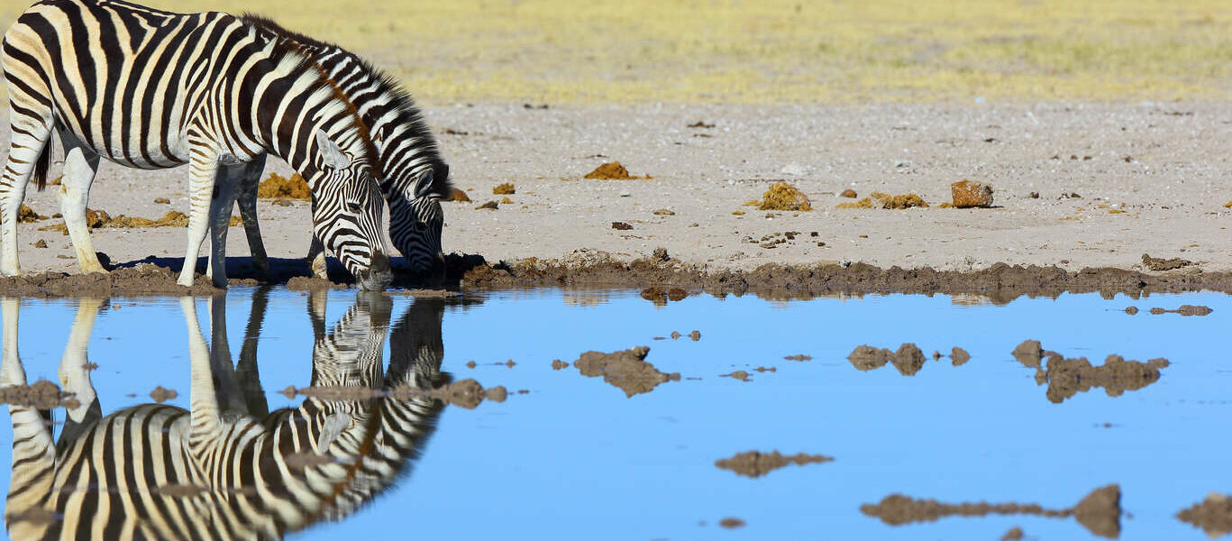 Delta et Désert : de l’Okavango aux Makgadikgadi pans