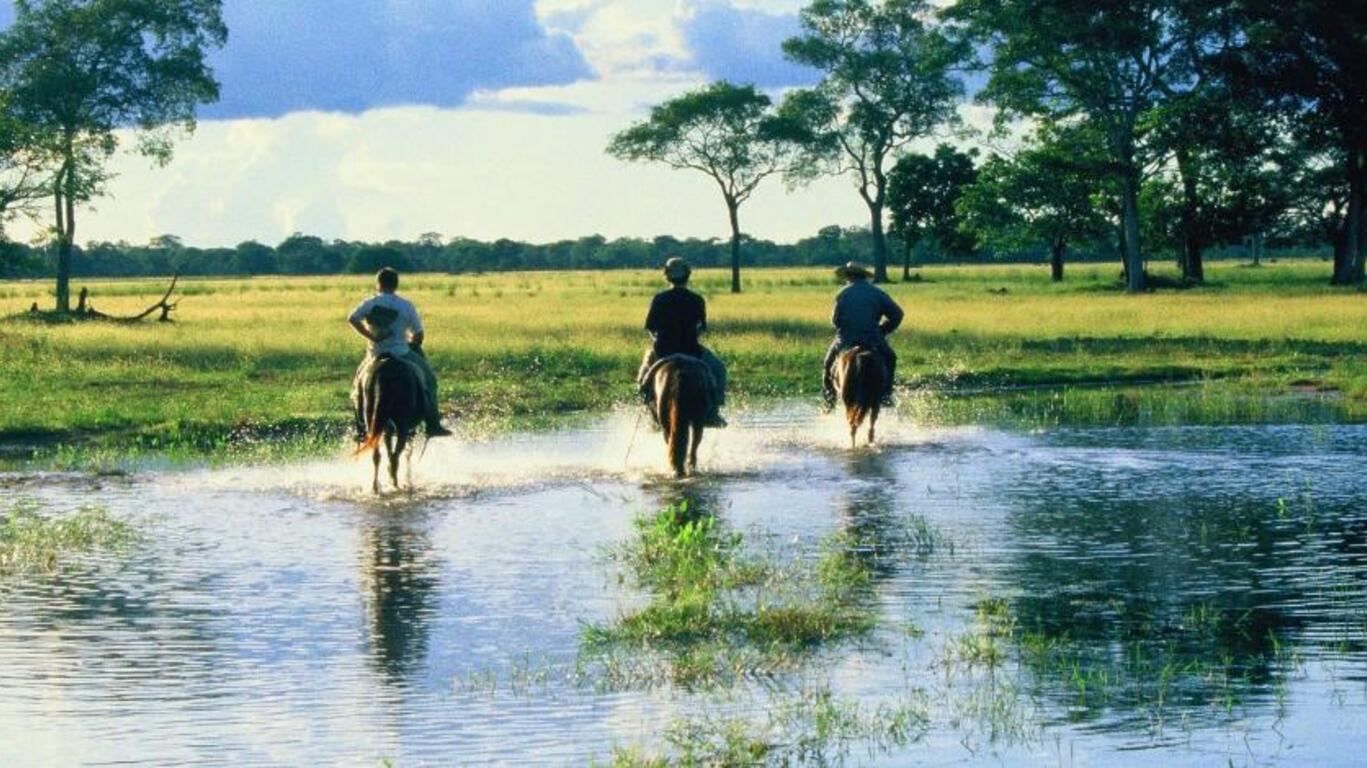 Safari au Pantanal