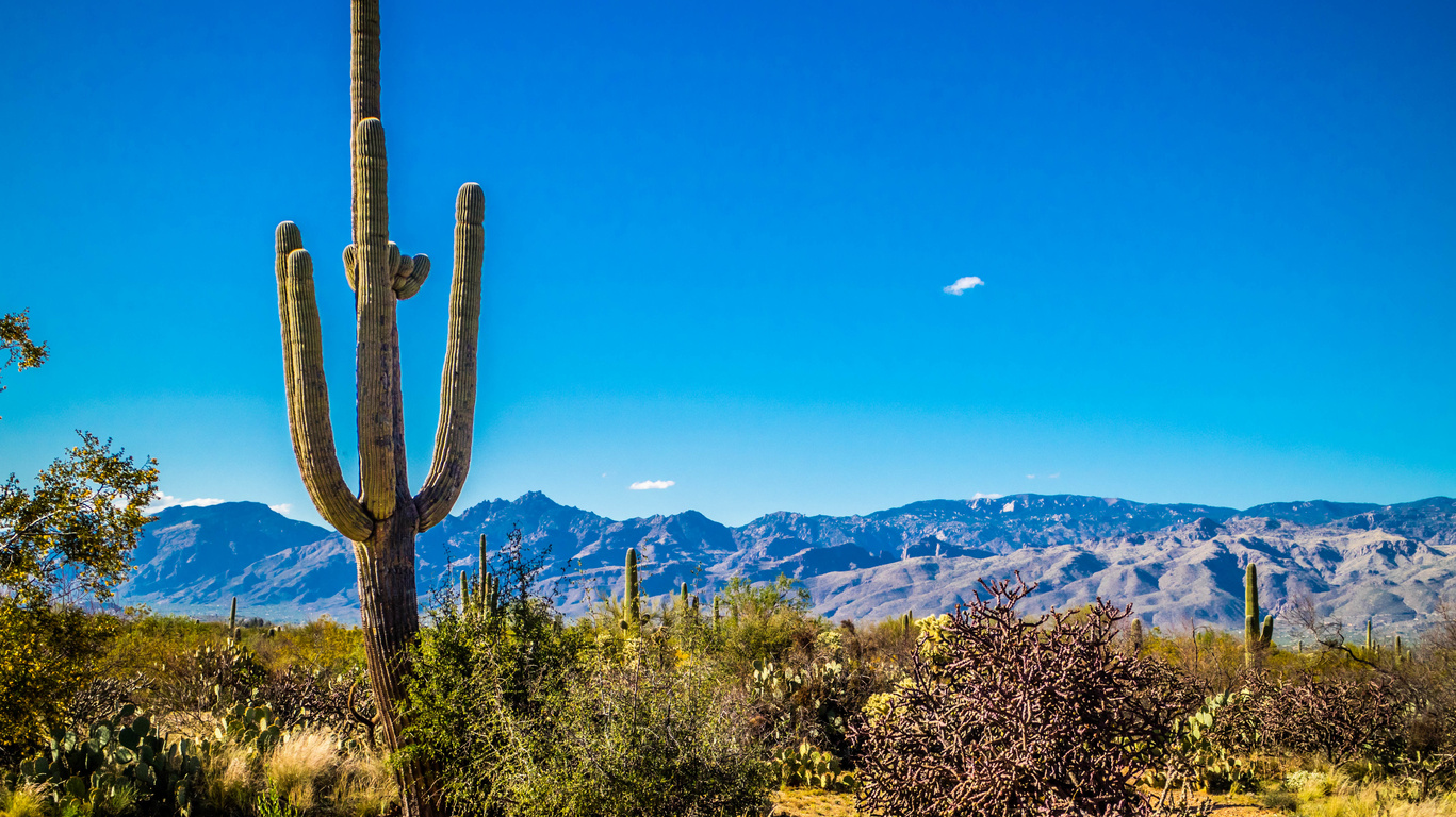 Voyage en Arizona