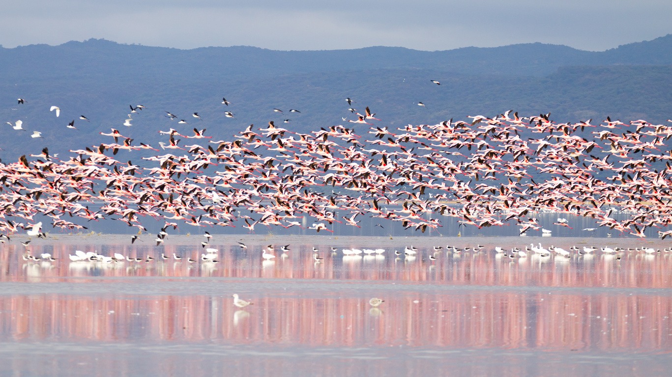 Voyages de noces Tanzanie