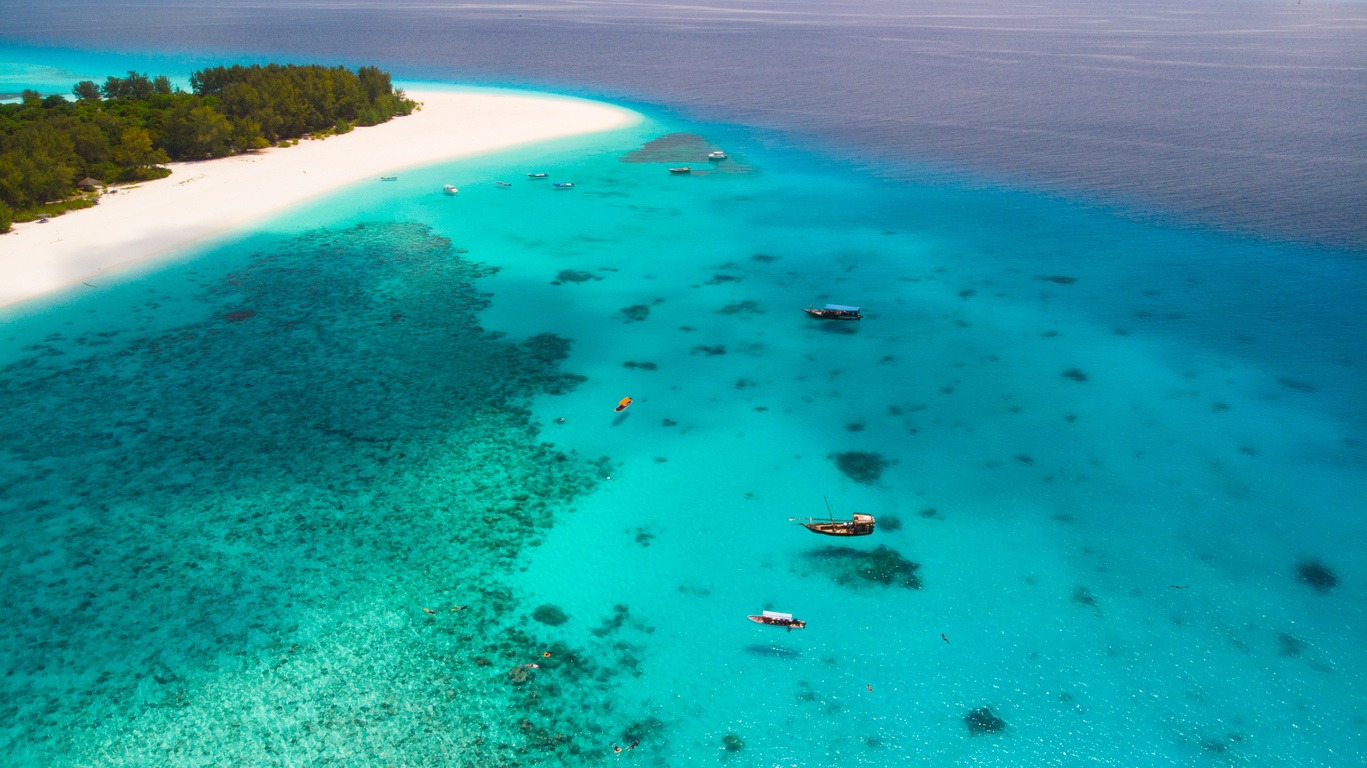 Safaris à Zanzibar