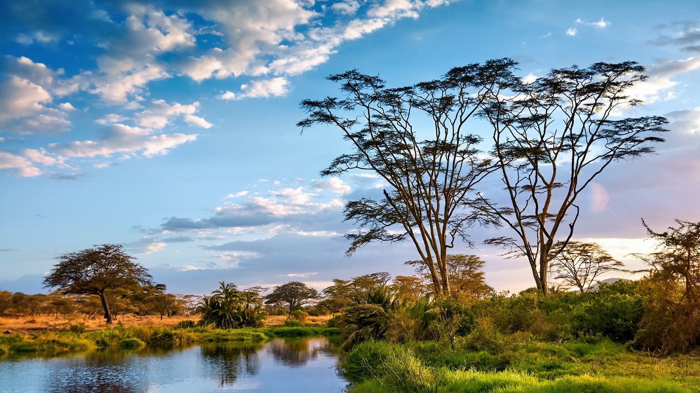 Circuit Safari en privé en Tanzanie