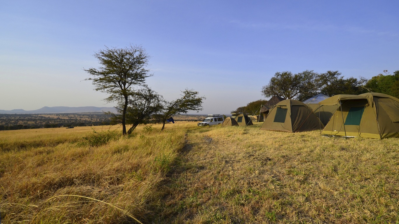 Circuit en camping au Botswana