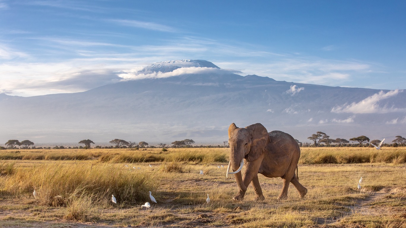 Voyage de noces au Kenya