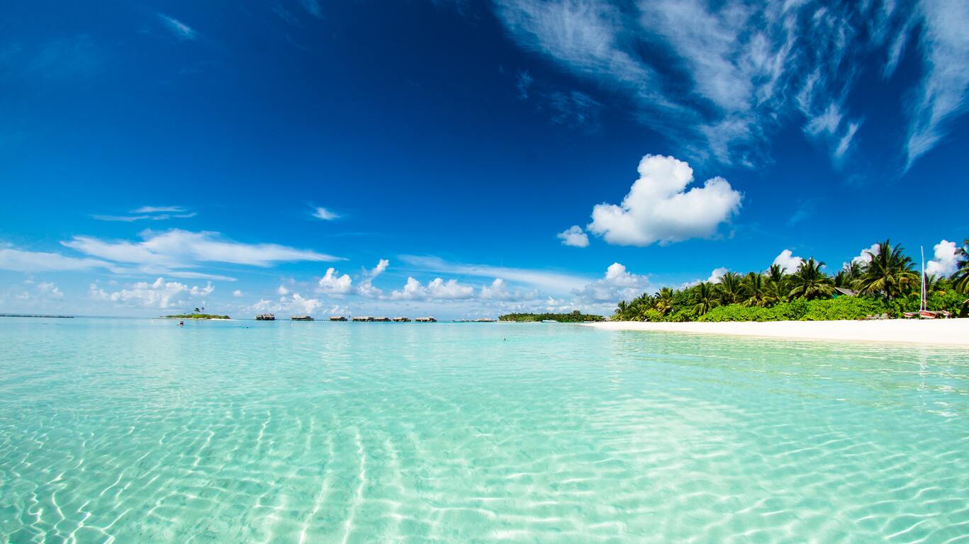 Combiné îles Océan Indien