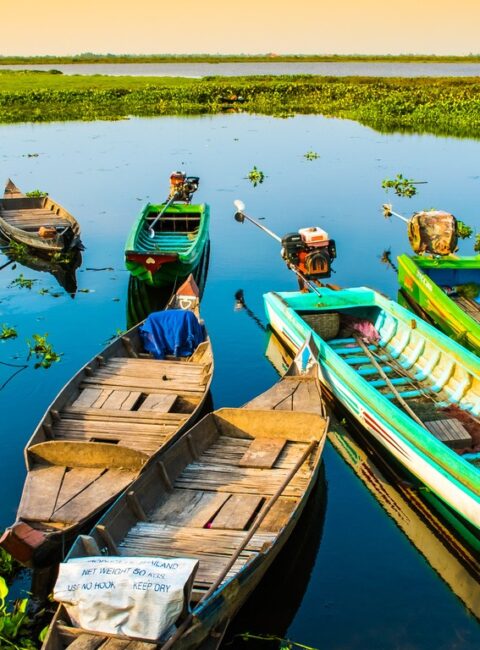 Tonle-Sap (Ville Flottante)