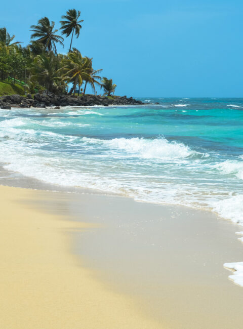 Côte Caraïbes (Nicaragua)