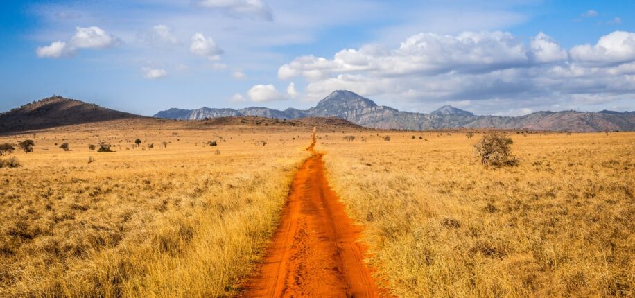 Parc de Tsavo