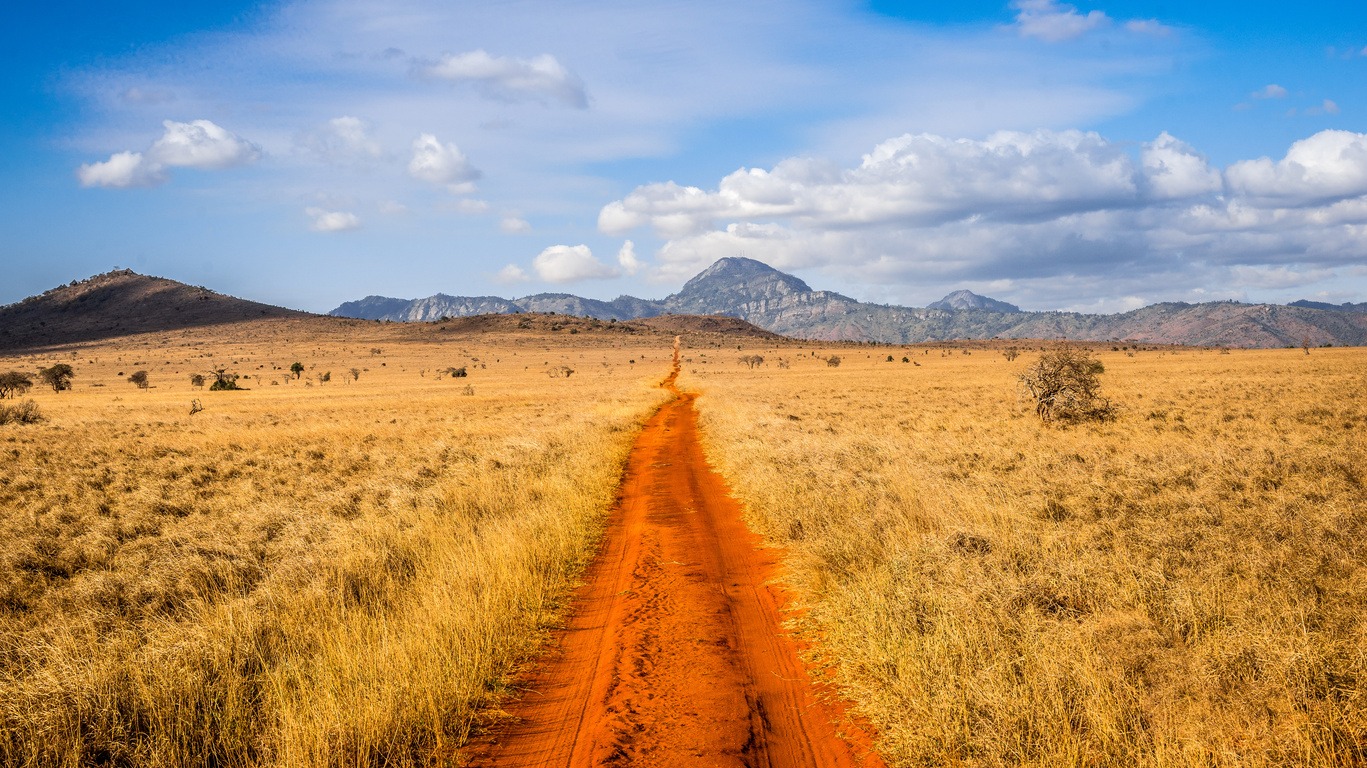 Voyage au Parc de Tsavo 