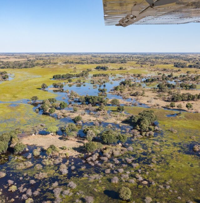 Circuits découverte par les airs au Botswana