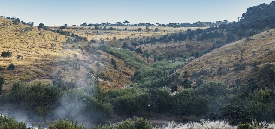 Parc National de Horton Plains