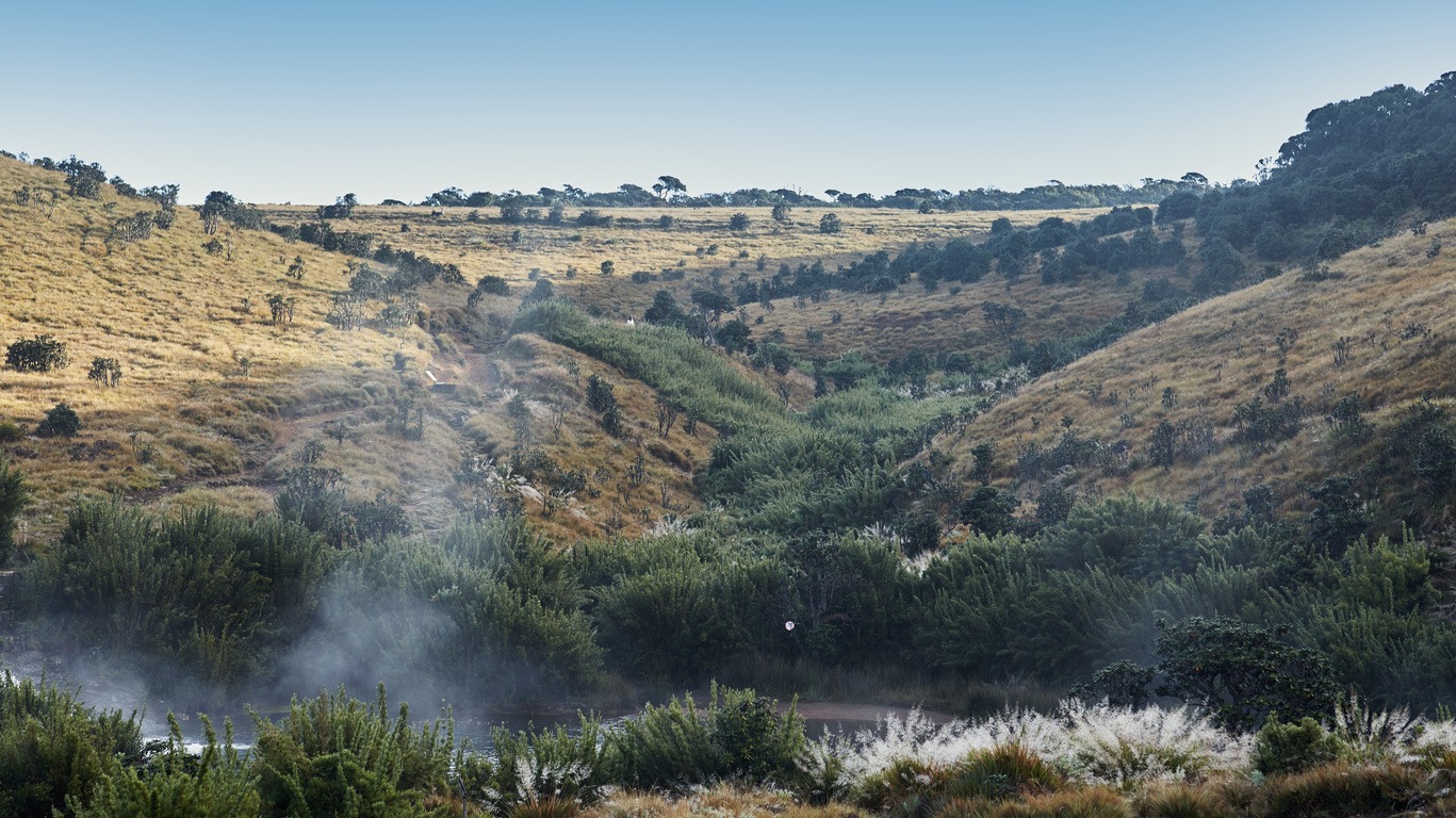 Voyage à Horton Plains  