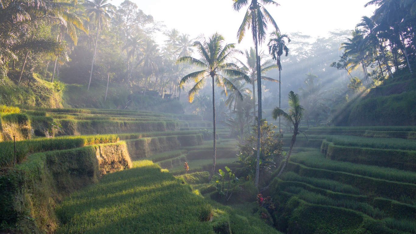 Circuit à Bali