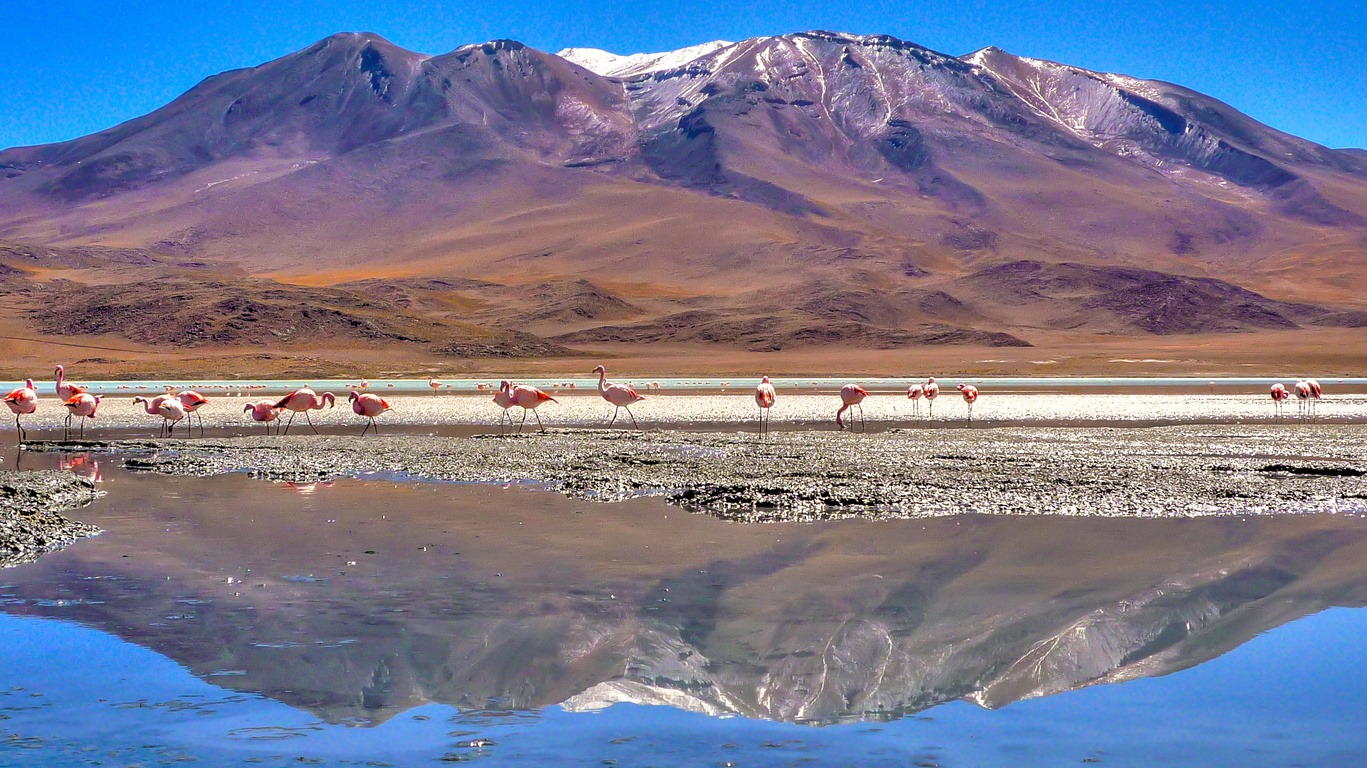 Voyage dans le Lipez depuis le Chili 