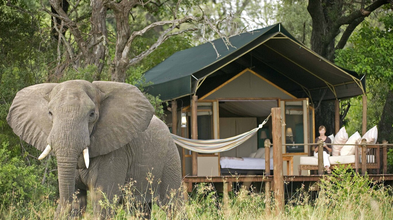 Voyage de Noces au Botswana