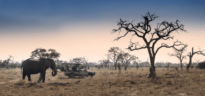 Circuits accompagnés au Botswana