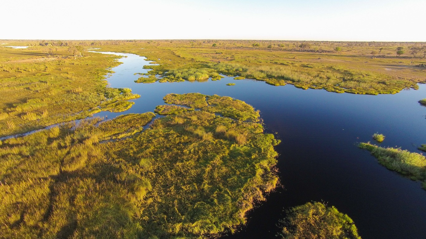 Voyages dans la Réserve de Moremi