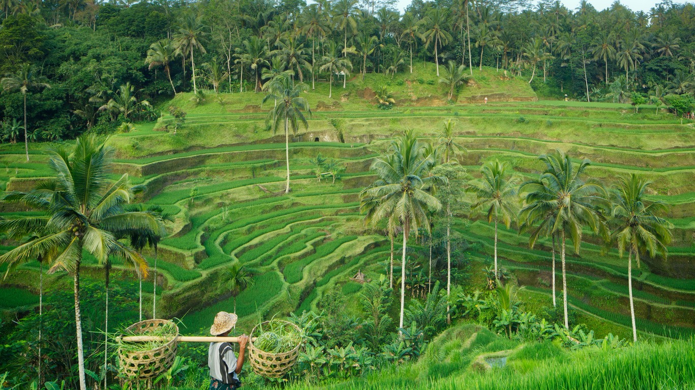 Séjours à Bali