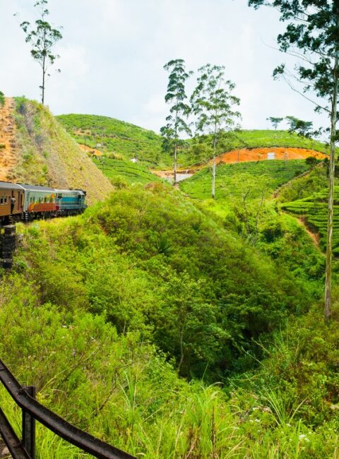 Sri Lanka