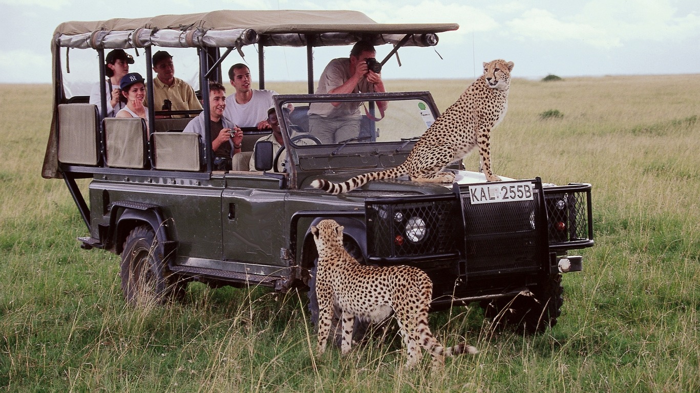 Safari au Kenya  Circuit et voyage Kenya avec Cercle des Voyages