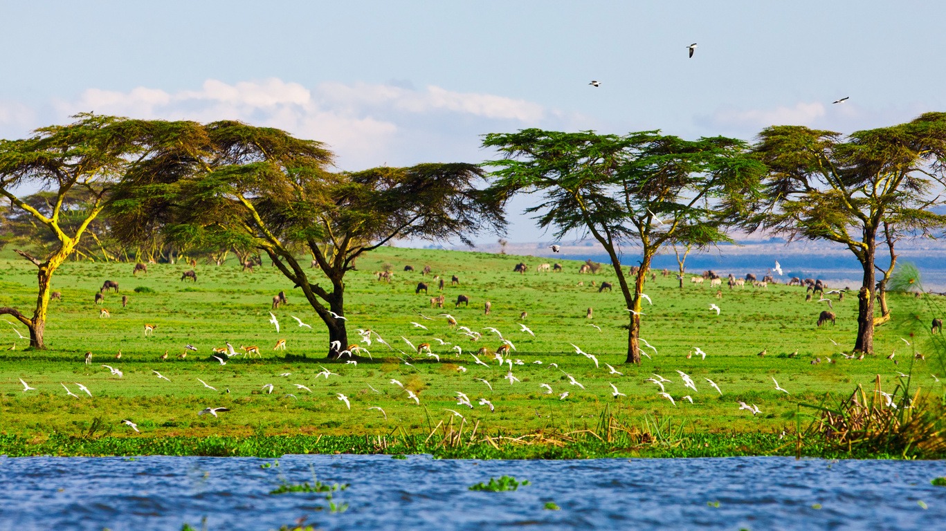 Voyage au lac Naivasha