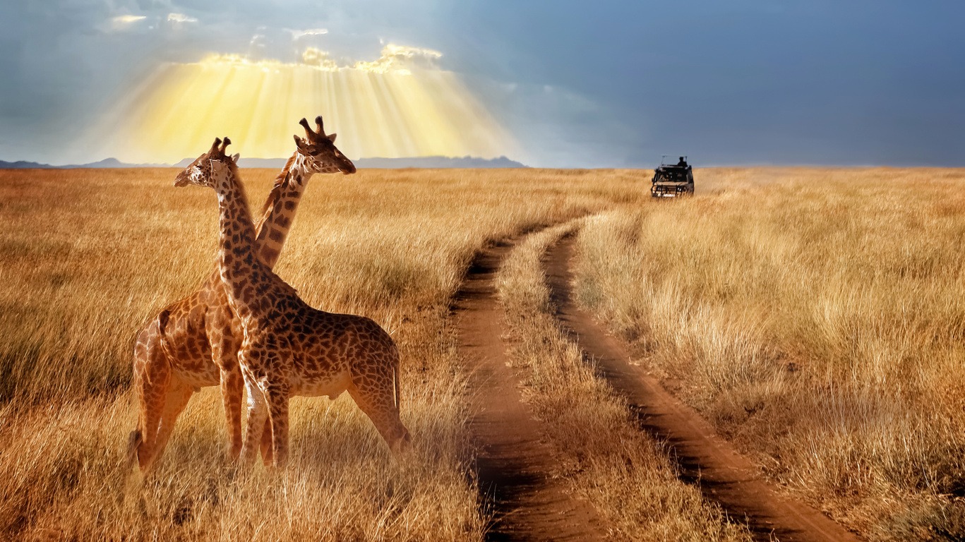 Circuits Safaris Accompagnés en Tanzanie