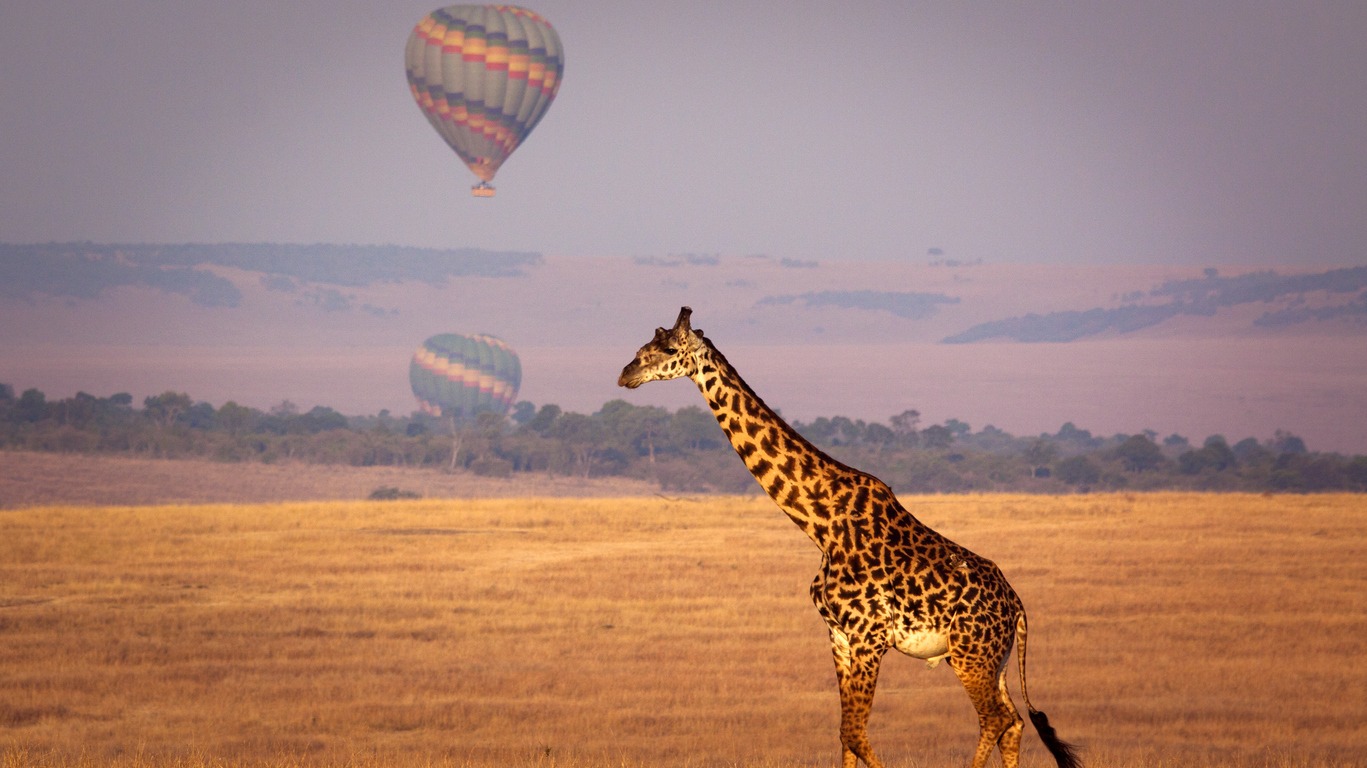 Safari en avion taxi en Tanzanie