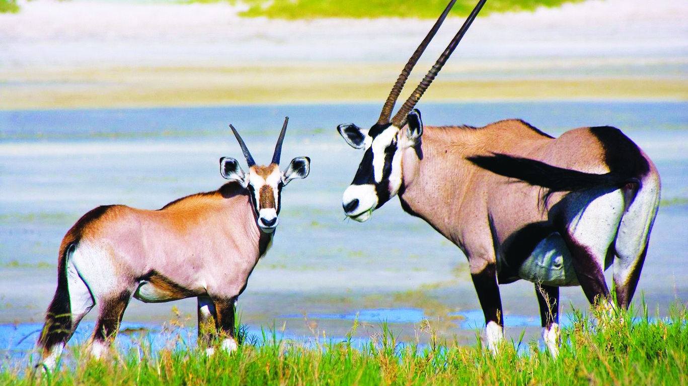 Voyage en Afrique hors des sentiers battus