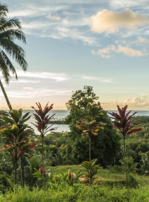 Raiatea