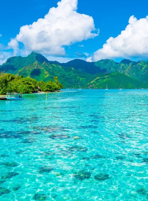 Moorea