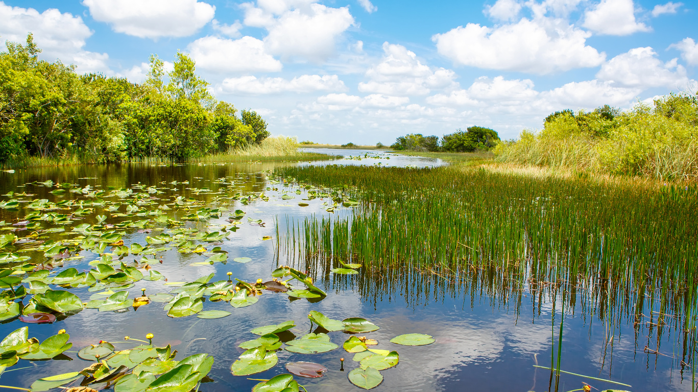 Parc National des Everglades