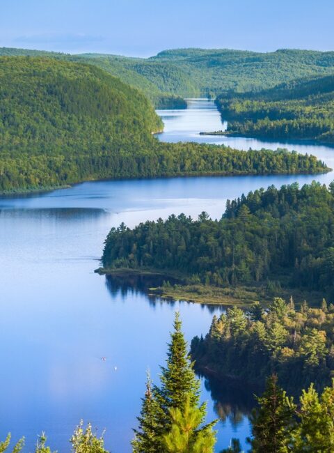 Mauricie