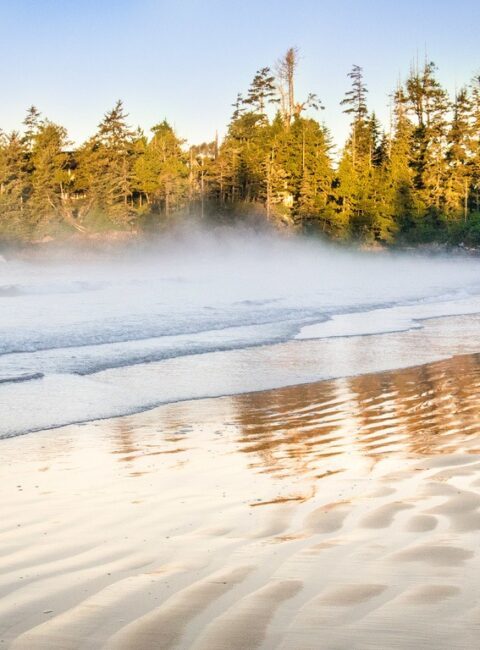 Tofino