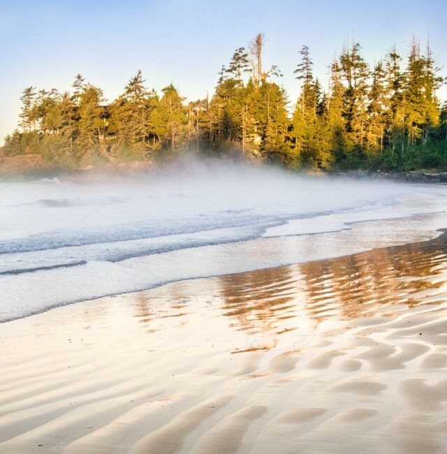 Tofino