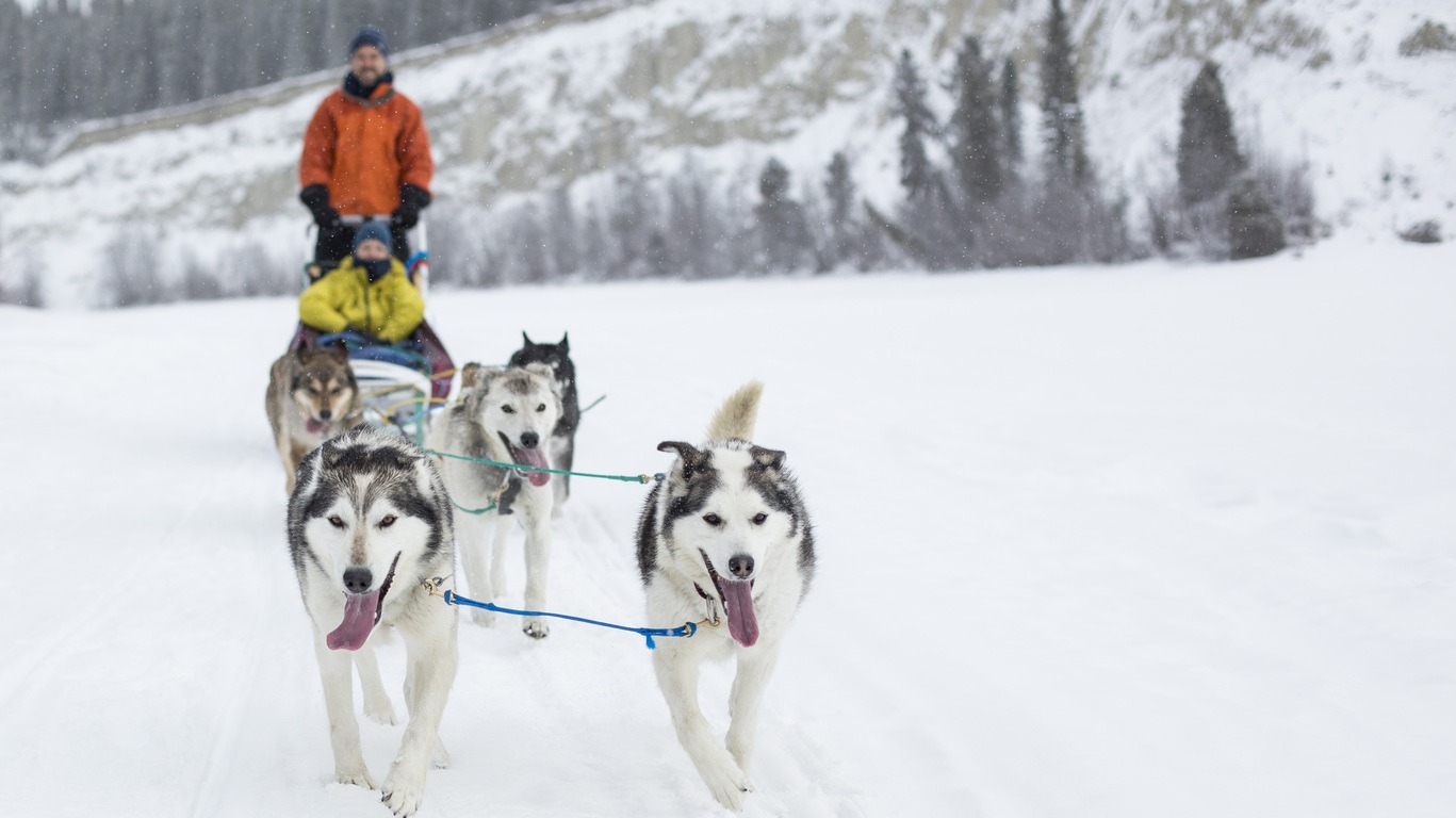 Traîneau à chiens au Canada