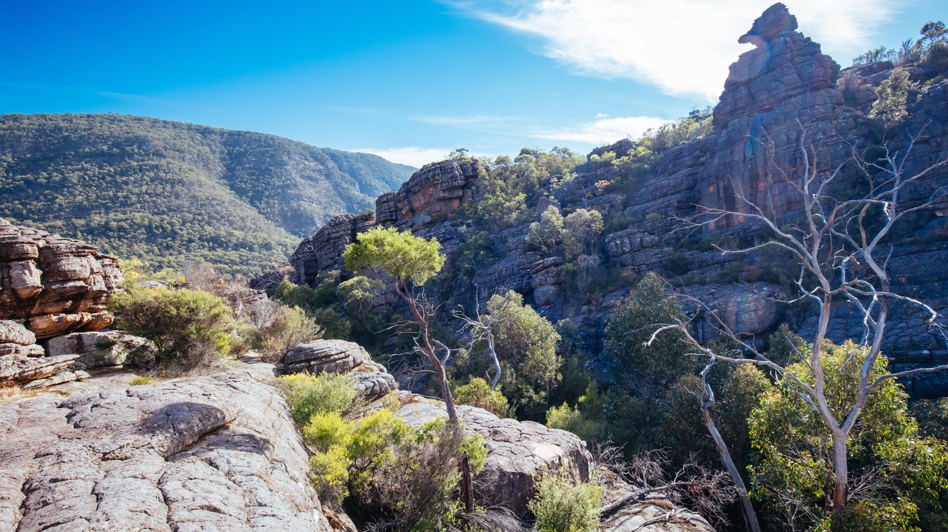 Autotours au Grand Canyon