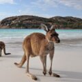 Australie