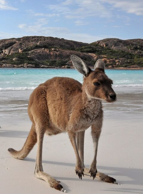 Australie