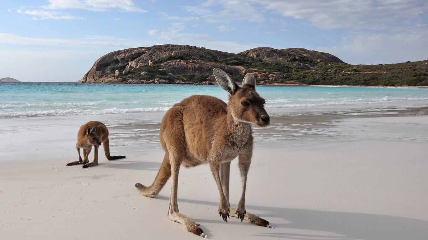 Voyage Australie