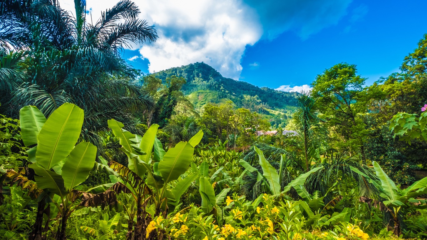 Voyage dans l'est de Madagascar  