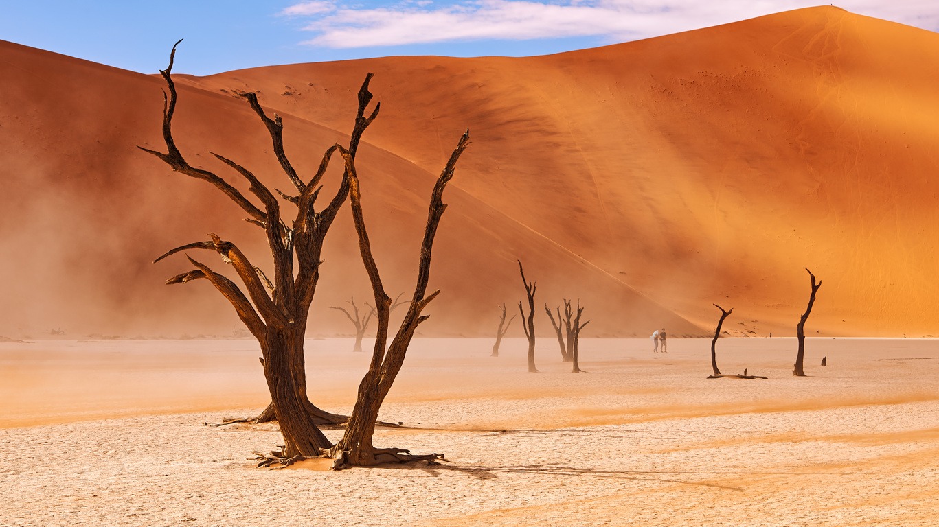 Circuits Découverte par les airs en Namibie