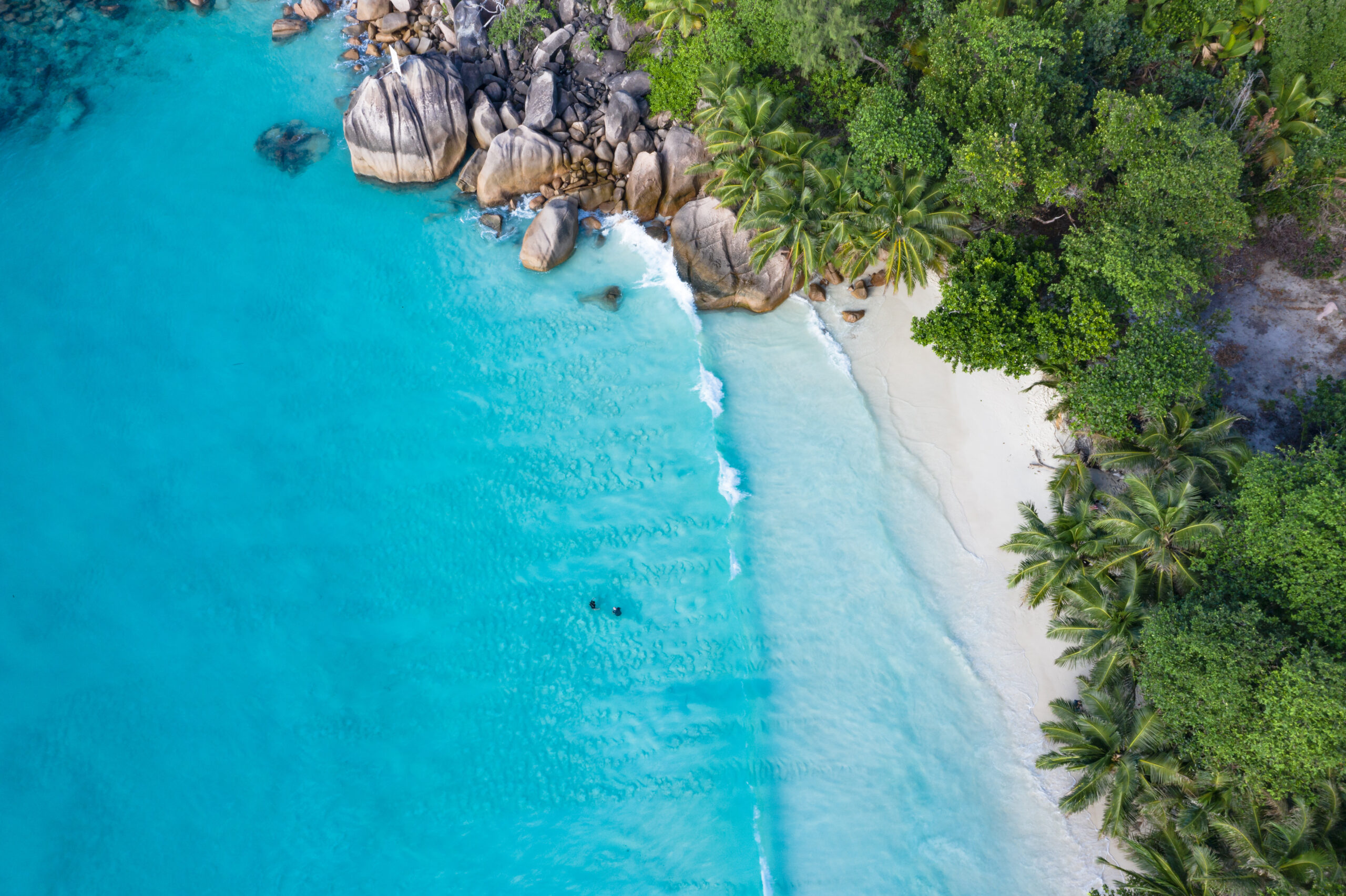 Un séjour de luxe aux Seychelles entre plages de sable blanc et végétation luxuriante