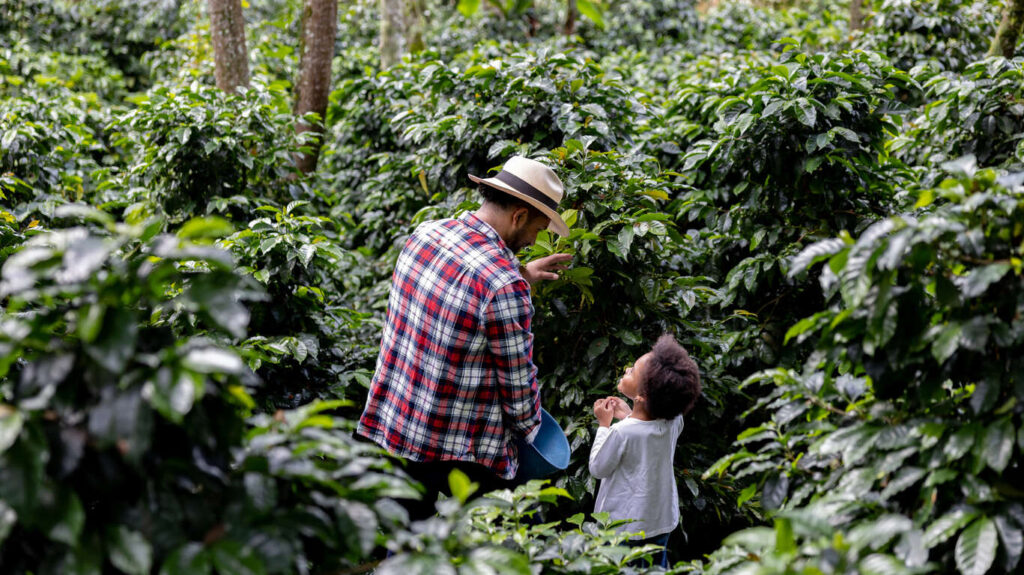 Circuit en famille en Colombie