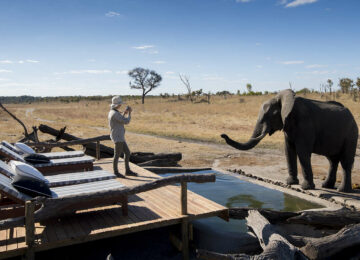Voyage au Zimbabwe: Chutes Victoria & Safaris à Hwange et Mana Pools
