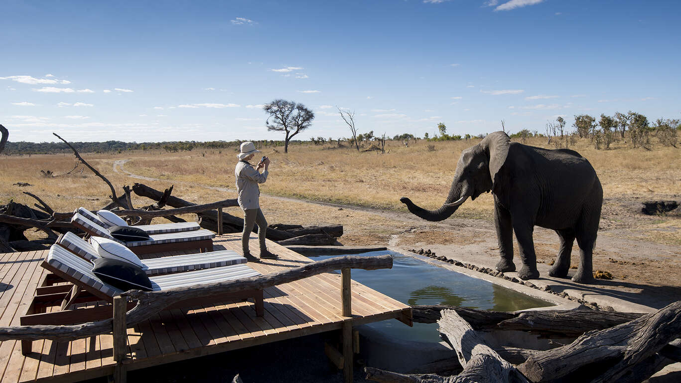 Voyage au Zimbabwe: Chutes Victoria & Safaris à Hwange et Mana Pools