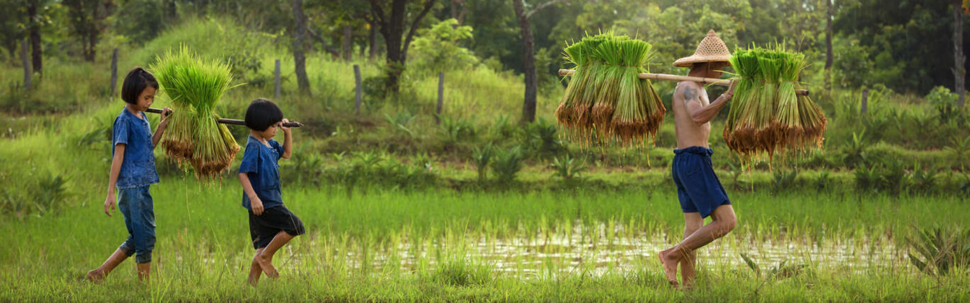 Circuit accompagné immersif et intime en Thaïlande